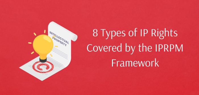 8 Types of IP Rights Covered by the IPRPM Framework