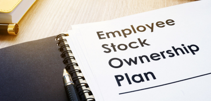 Beyond Compensation: Empowering Startups Through Strategic Stock Option Programs