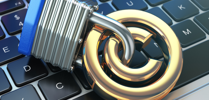 Intellectual Property Protection: A Guide for Startups