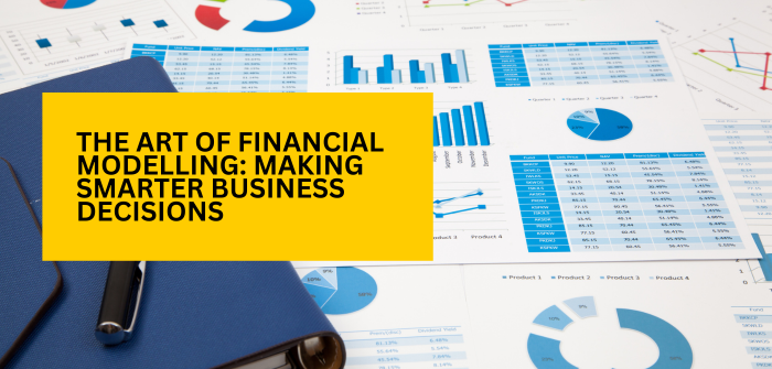 The Art of Financial Modelling:  Making Smarter Business Decisions