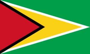 Flag of Guyana