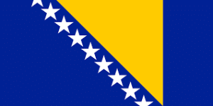 Bosnia and Herzegovina logo